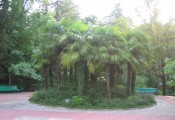 Беларусь 